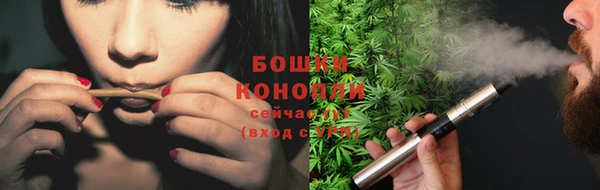 шишки Козельск