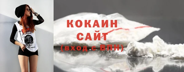 шишки Козельск