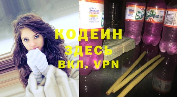 шишки Козельск