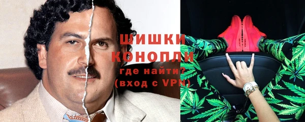 шишки Козельск