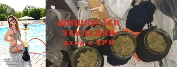 шишки Козельск